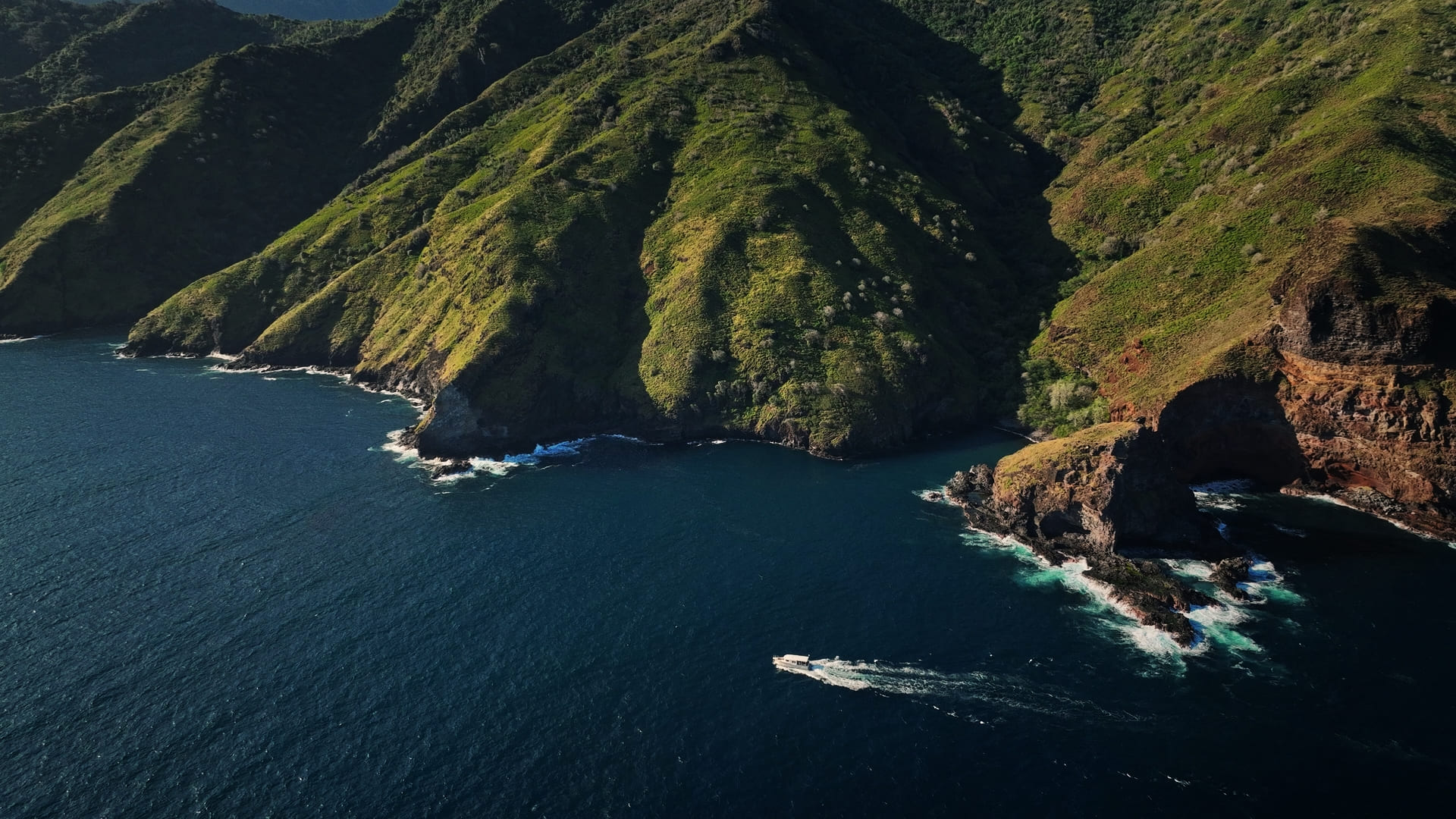 Plongeur dans l'eau, touchant une raie manta
