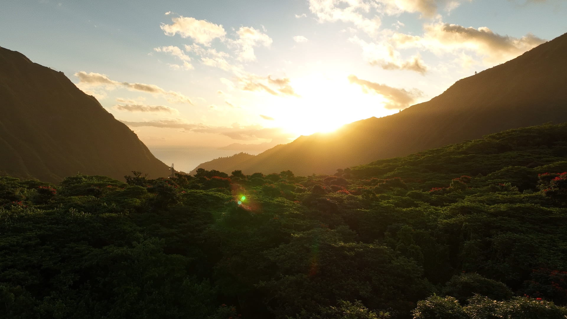 Plongeuses prêtes à plonger dans l'océan